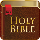 Holy Bible KJV-icoon