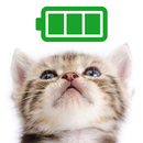 Cat Battery widget-APK
