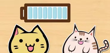 Cat Collection