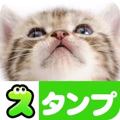 猫スタンプ（実写スタンプ） アプリダウンロード
