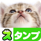 Cat Stickers icon