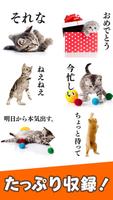 猫スタンプ（実写スタンプ） スクリーンショット 2