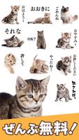 Cat Stickers स्क्रीनशॉट 1