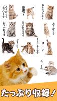 Cat Stickers ภาพหน้าจอ 2