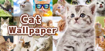 Wallpaper Cat Collection