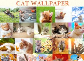 Wallpaper : Kucing screenshot 1