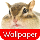 Wallpaper Chipmunk-APK