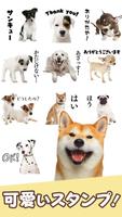 Dog Stickers Affiche