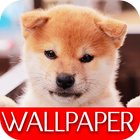 Wallpaper Dog Collection Zeichen