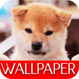 Wallpaper Dog Collection آئیکن
