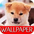 Icona Wallpaper Dog Collection