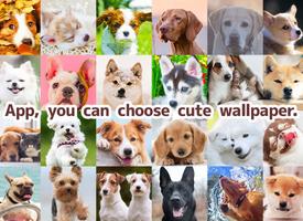 Wallpaper Dog Collection Plakat