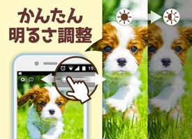 犬の可愛い壁紙 スクリーンショット 2