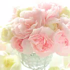 Flower Wallpaper