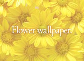 Flower Wallpaper পোস্টার