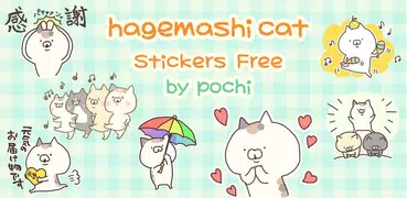 Calico cat Stickers