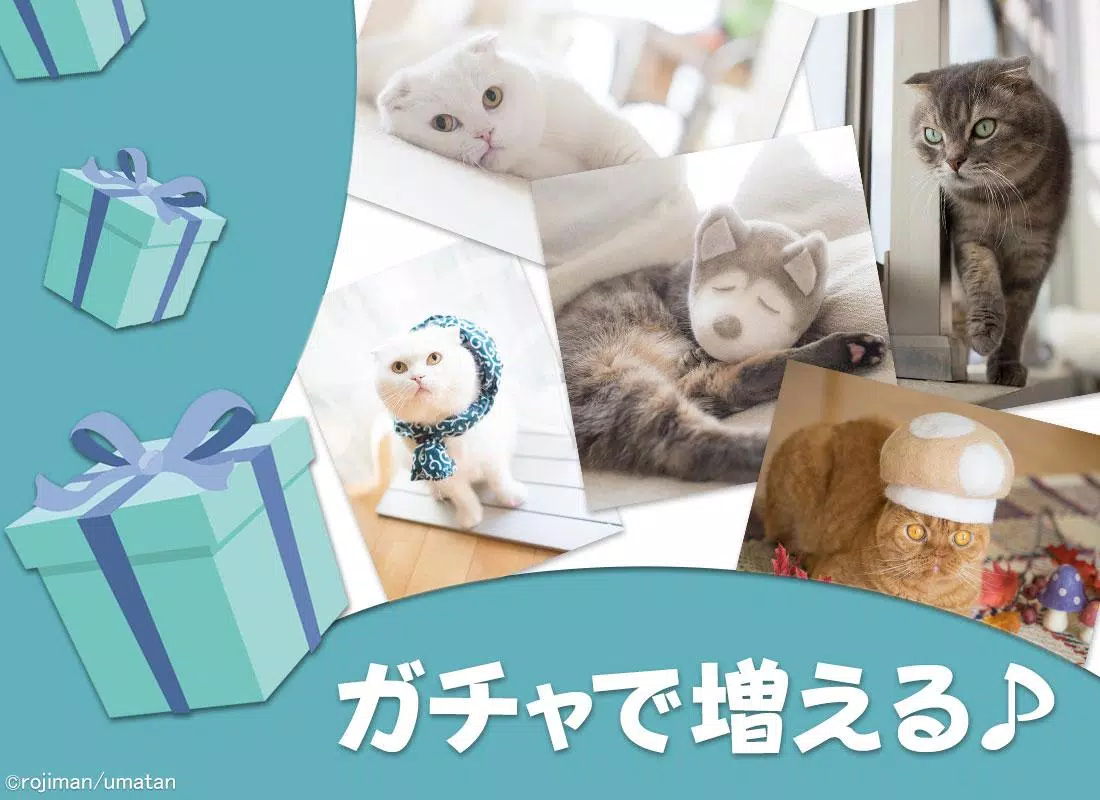 Android向けのオシャレ猫の壁紙 猫の 抜け毛帽子 Apkをダウンロードしましょう
