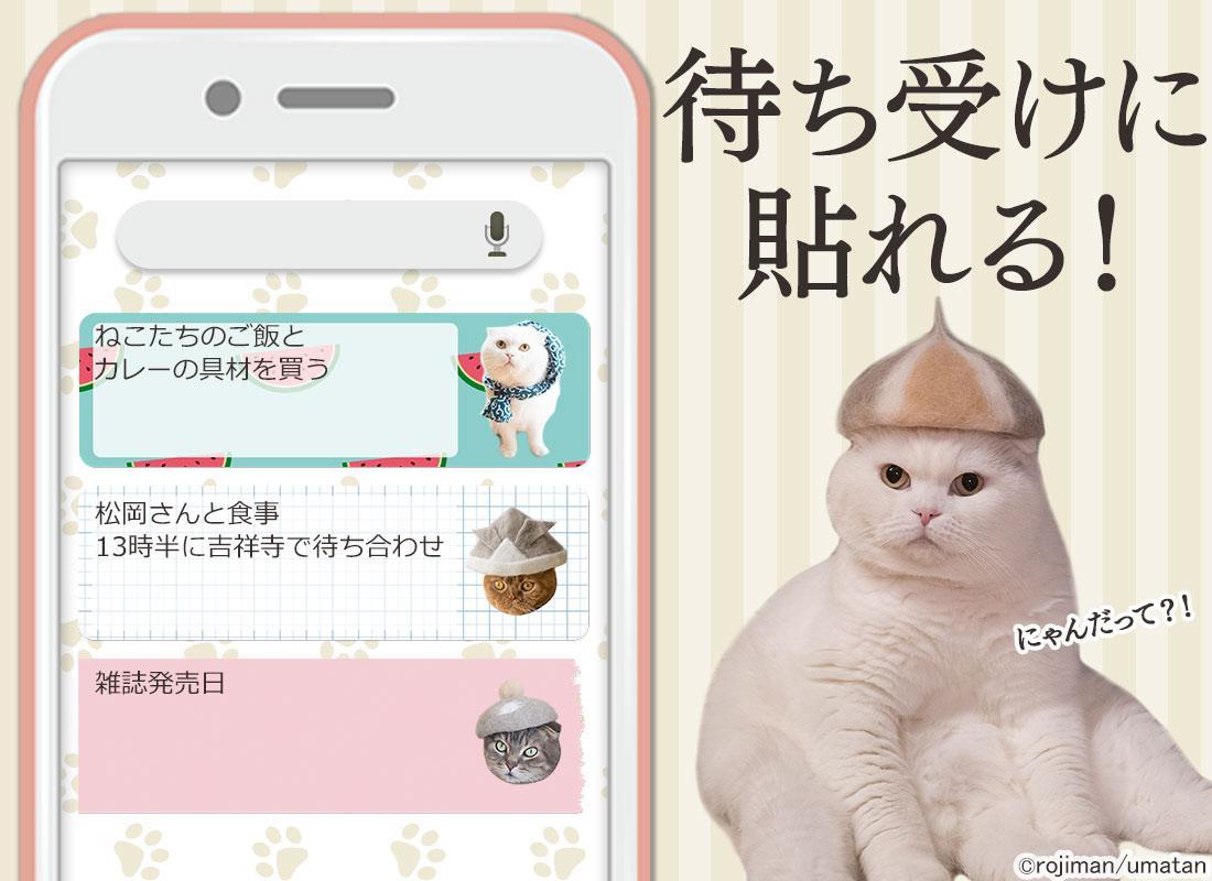 最高のコレクション 待ち受け 猫 画像 かわいい 無料 19 待ち受け 猫 画像 かわいい 無料 Josspicturewy3bq