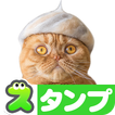 Cats' Hair Hats Stickers