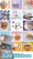 Cats' Hair Hats Stickers Affiche