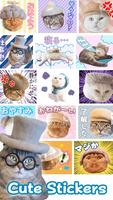 Poster Cats' Hair Hats Stickers