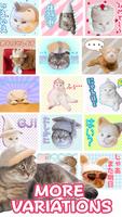 1 Schermata Cats' Hair Hats Stickers