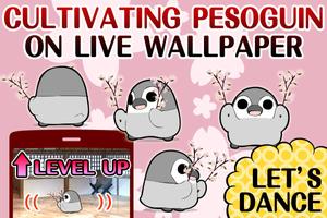 Pesoguin SAKURA DANCE -Penguin Affiche