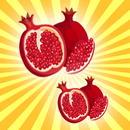 Matching Pair : Brain Exercise APK