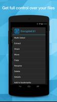 B1 File Manager Affiche