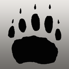 BadgerScan ikona