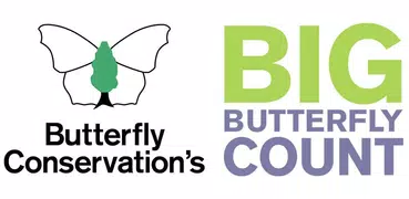 Big Butterfly Count