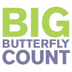 Big Butterfly Count APK 下載
