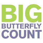 Big Butterfly Count icon
