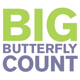 Big Butterfly Count aplikacja