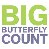 Big Butterfly Count