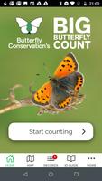 Big Butterfly Count screenshot 1