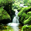 Beautiful River Wallpapers APK