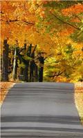 برنامه‌نما Best Autumn Backgrounds عکس از صفحه