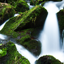 Free Waterfall Wallpapers APK