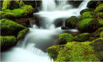 Free Waterfall Wallpapers Affiche