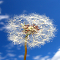 HD Photography