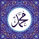bHadis APK