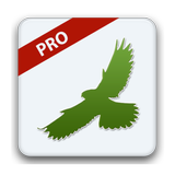 Icona SmartBirds Pro
