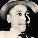 Emmett Till Memory Project APK