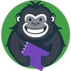 Rilla Forms icon