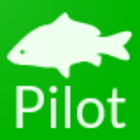 Carp Pilot أيقونة