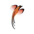 IFFK - Booking App