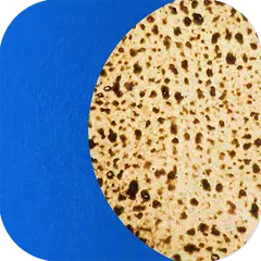 download Passover Assistant XAPK