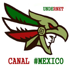 Chat Mexico icono