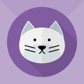 Lost Cat